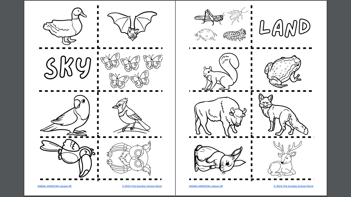 God's Connected Creation (Psalm 104:10-18) Free Sunday School Lesson
