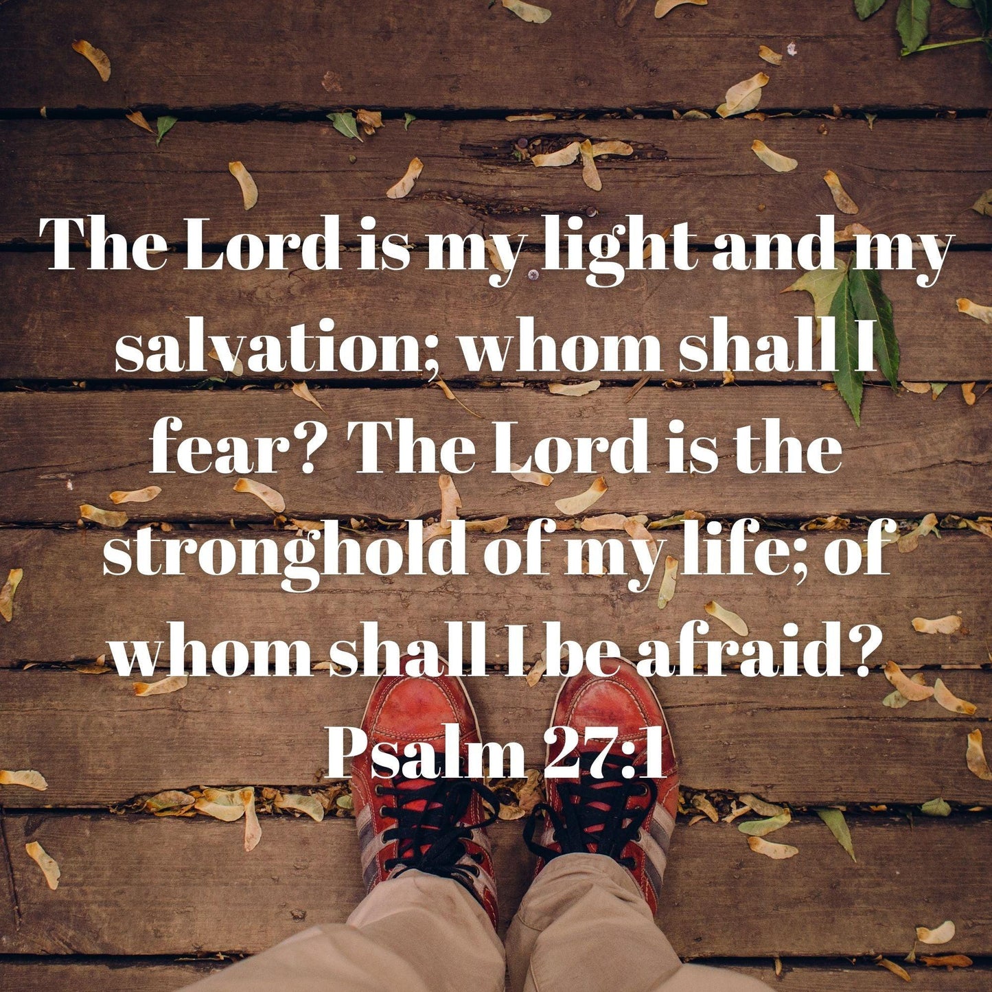 More FAITH Less FEAR: 4-Week Children's Ministry Curriculum (download only) - Sunday School Store