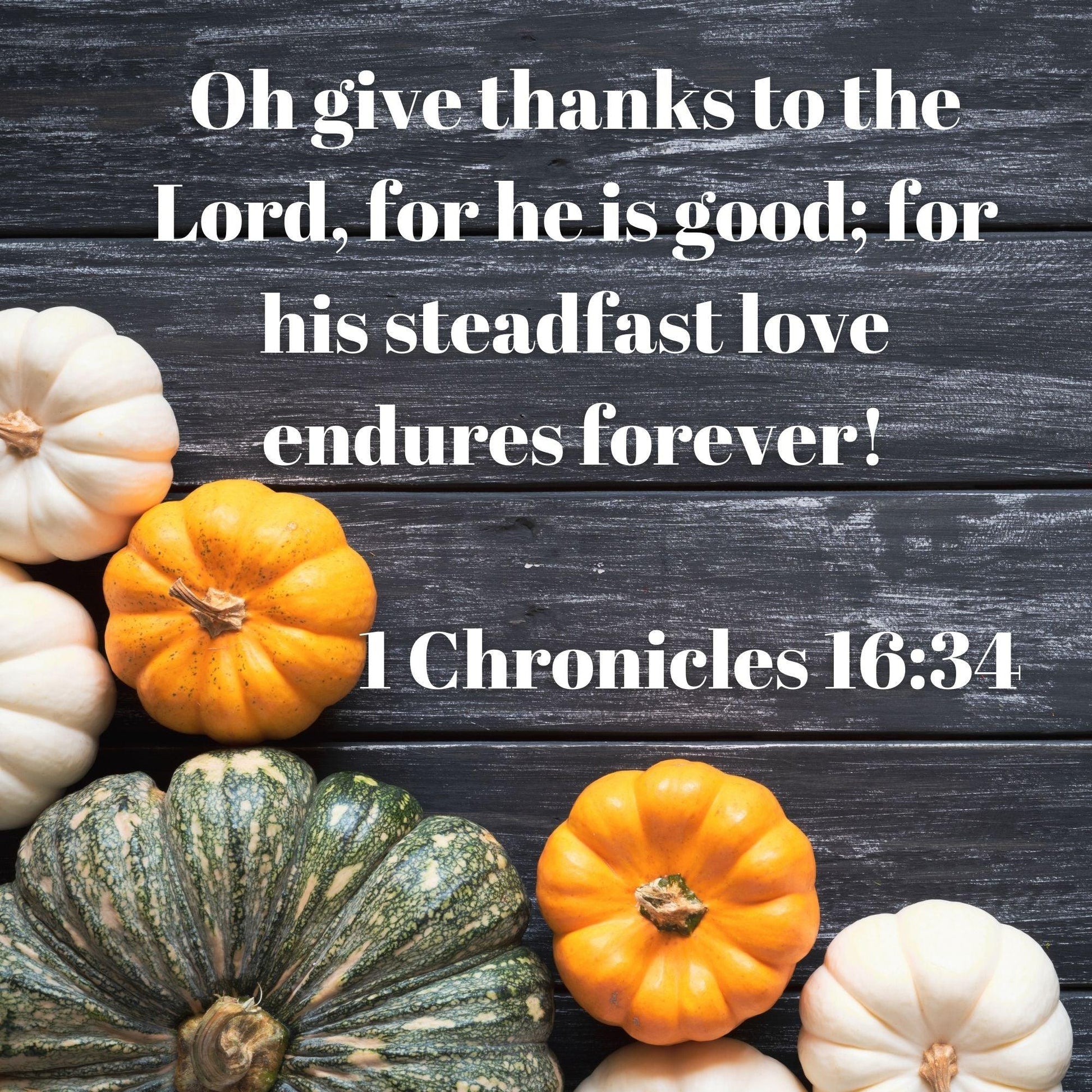 Free Thanksgiving Sunday School Lesson (download only) - Sunday School Store