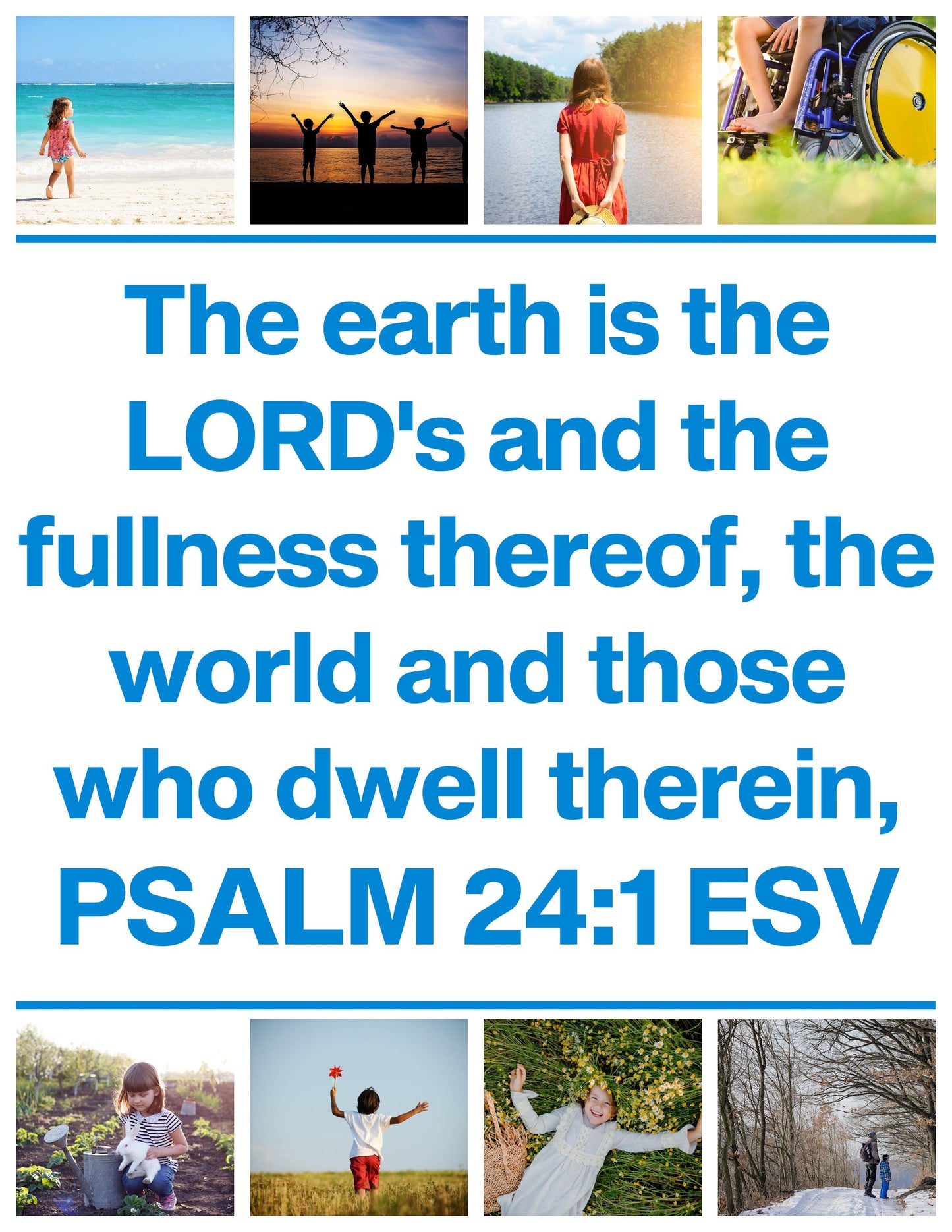 Amazing Nature: 7-Lesson Sunday School Curriculum (download only) - Sunday School Store