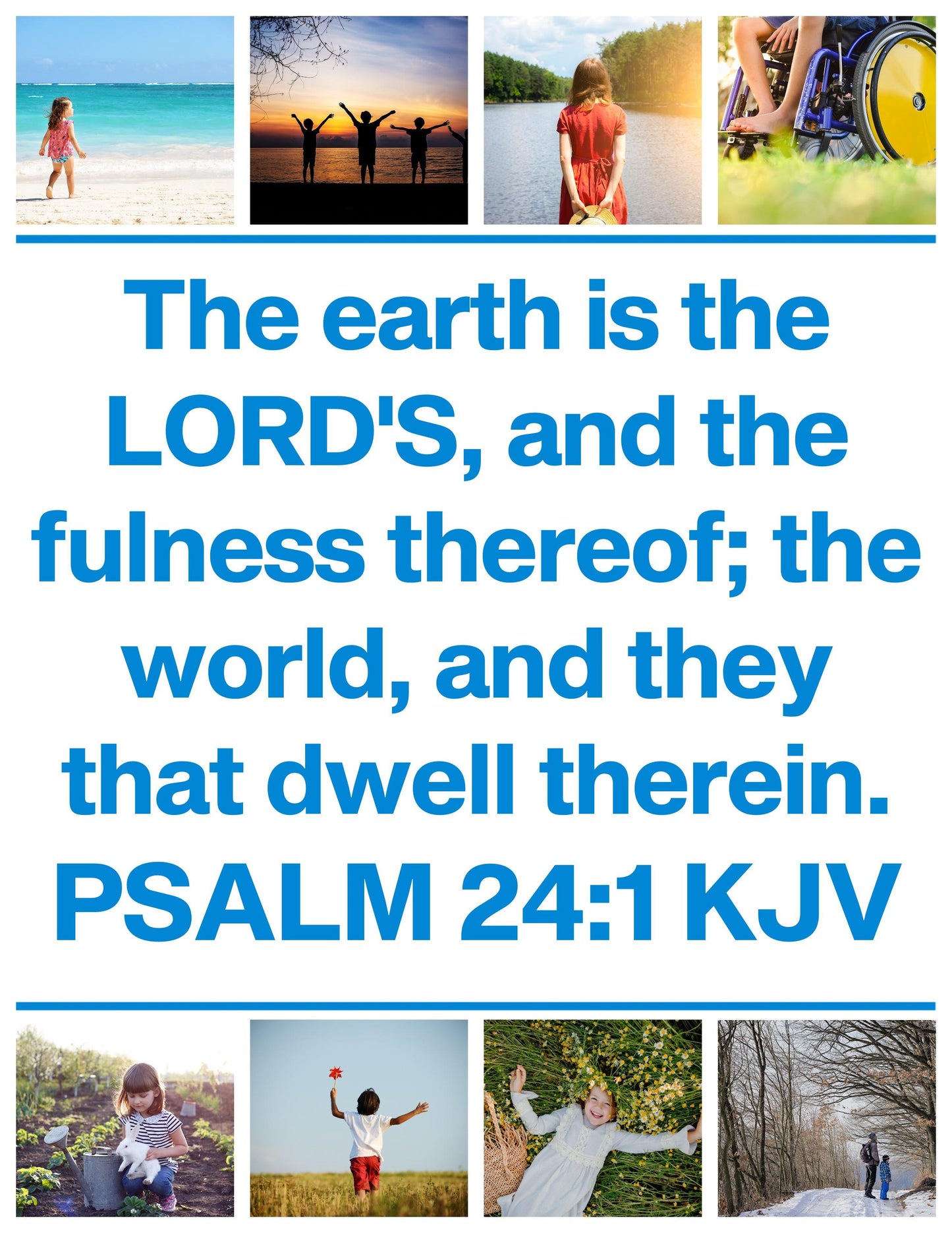 Amazing Nature: 7-Lesson Sunday School Curriculum (download only) - Sunday School Store