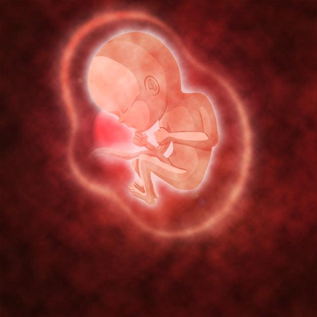 Fearfully & Wonderfully Made (Psalm 139) Printable Bible Lesson & Sunday School Activities - Sunday School Store