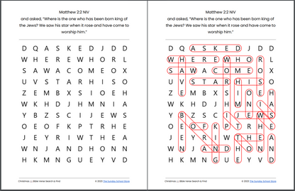 10 Free Christmas 🎄 Bible Word Search Puzzles [PDF Printable Download]